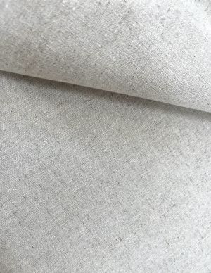 ǰ̹1